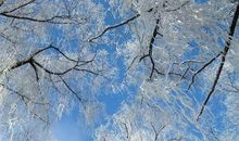 描写冬天的好词