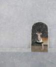 希望存在于体内