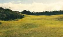 自己对亲弟弟失望的句子