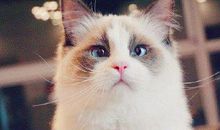 朋友圈哭穷段子 发朋友圈吃土的说说