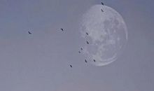 真心对一个人失望的句子说说心情