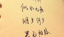 优美有诗意的句子