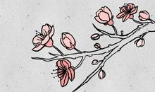 大漠谣经典句子