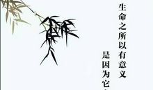 卡夫卡经典语录