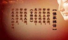 佛学经典语录集