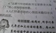 关于鸟的比喻句