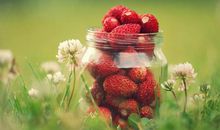 描写浓浓亲情的句子