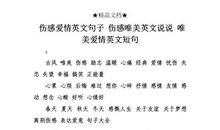 伤感唯美的英文句子