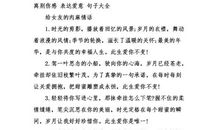 对女朋友的承诺句子