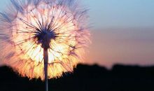 排练跳舞优美开心的句子