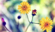 女神节发朋友圈的句子 3.8女神节的唯美句子