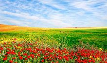 表示遇见你很开心的句子