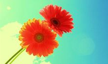 坚决打赢疫情防控阻击战说说 抗击疫情励志加油说说