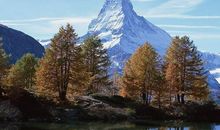 友情的优美语句