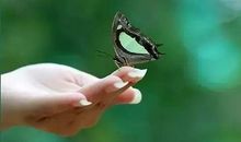 2019生活感悟经典句子 随笔分享句句走心