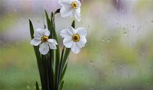 要开始一段新的感情的说说