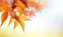 冬至节日问候短信