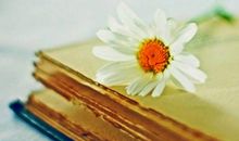 关于爱书的宣传标语