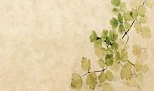 描写九月的句子