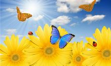 药店标语广告词 药店显示屏滚动广告语