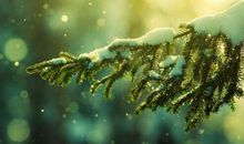 相聚总是短暂的句子