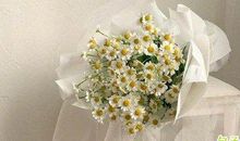 五一节短信祝福 2020国际劳动节祝福语精选