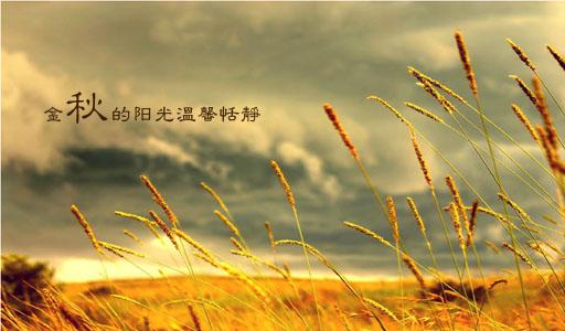 叶子知道秋天