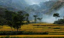 关于田园风光的优美句子