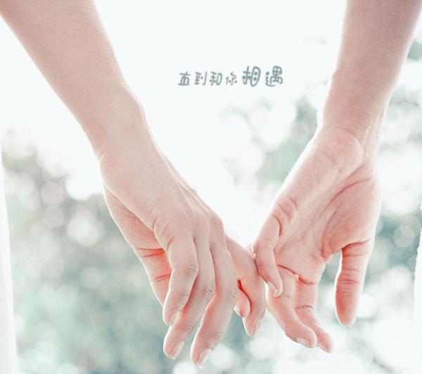    由20个句子组成的美丽句子  1