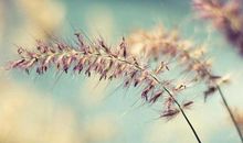 描写人物语言的句子