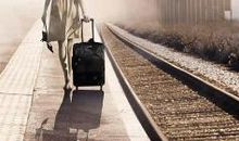 关于对婚姻和男失望的句子