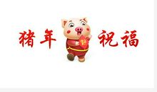 猪年祝福英文