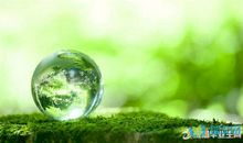 关于描写春雨的句子汇集