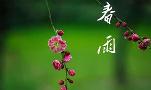 有很多春雨