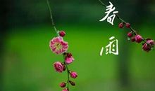 描写春雨的句子