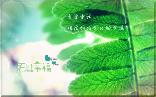 新的一年开始