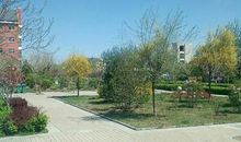 晴天有个好心情的说说