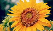 励志的名言：不管背影多沧桑，总有一天我会笑的漂亮