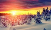 每日清晨祝福语 每日清晨微语