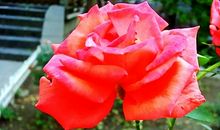 不要整天抱怨生活欠了你什么