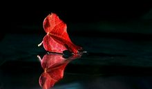 静，是心灵最好的陪伴