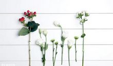 形容亲子亲情的句子