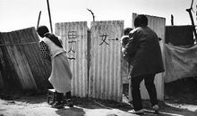 现实社会经典语录