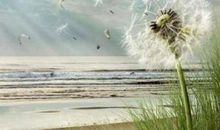 关于对老公失望想离婚的句子说说心情短语