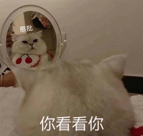 我无语