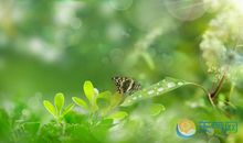 2019充满诗意的祝福语