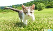 每天晨间心语 晨间励志语录