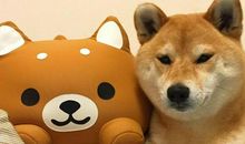 开心最重要的句子