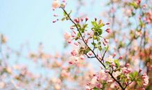 亲情陪伴暖心的句子说说心情