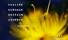 佛语爱情经典语句